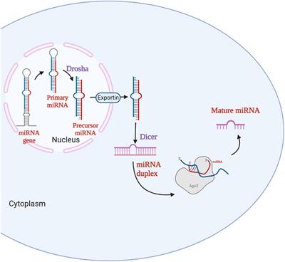 MicroRNAs in the epigenetic regulation of disease progression in Parkinson’s disease